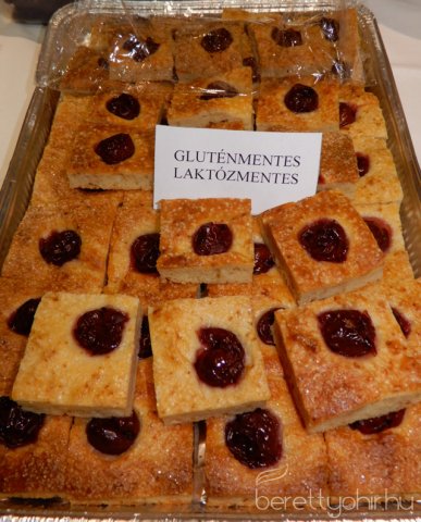 Lisztérzékenyek jótékonysági bálja 10